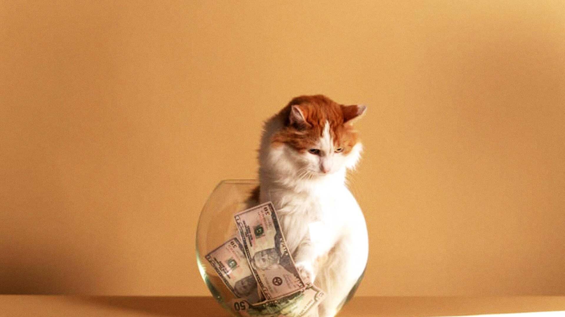 Zasady wystawiania faktury korygującej